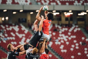 平台性能分析中三亿体育的表现深度分析（推荐）