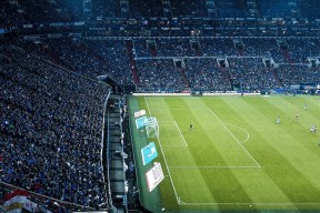 全面解析：三亿体育（干货）