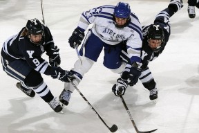 全面解析：三亿体育（干货）