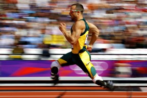 新手入门指南：三亿体育（干货）