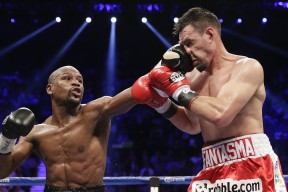 新手入门指南：三亿体育